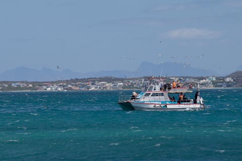 Aire Del Mar - Gansbaai