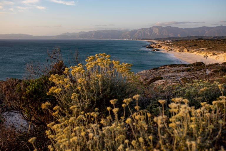 Aire Del Mar Gallery