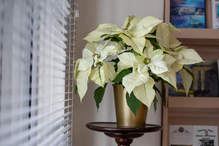 Aire Del Mar Gallery