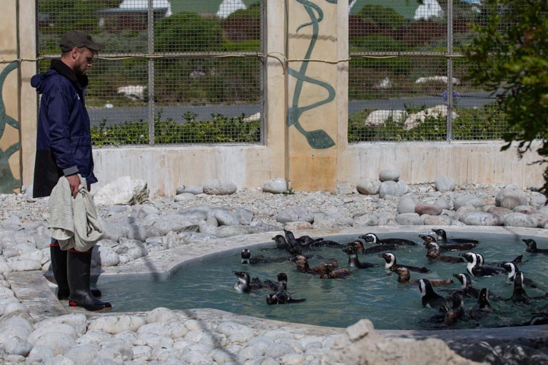 Aire Del Mar Gallery