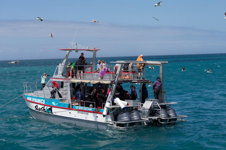 Aire Del Mar Gallery