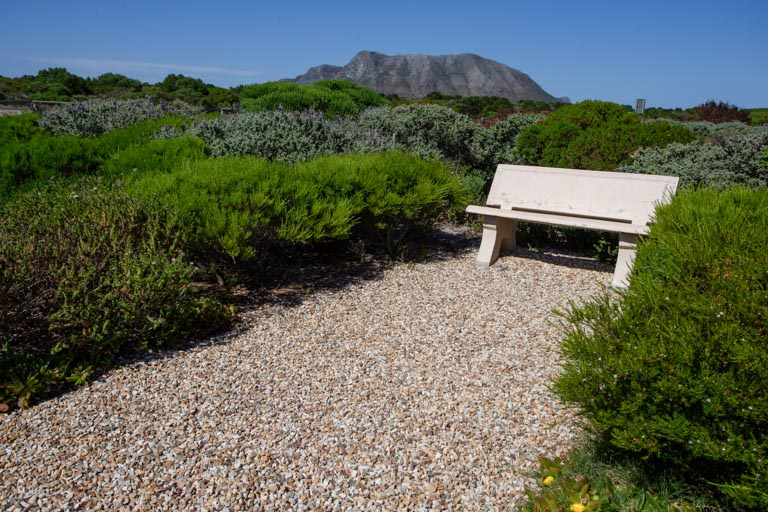 Aire Del Mar Gallery