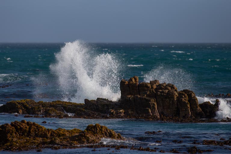 Aire Del Mar Gallery