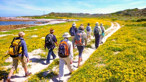 Hiking & Birding - Kleinbaai, Gansbaai