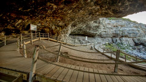 Walking, Birding, Fynbos, Perlemoen and Horse Trails - Kleinbaai, Gansbaai