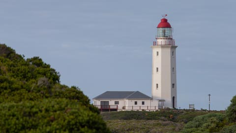 Waling, Birding, Fynbos, Perlemoen and Horse Trails - Kleinbaai, Gansbaai