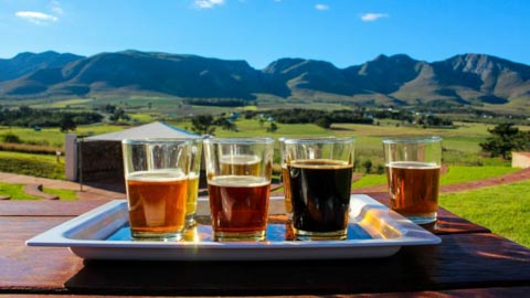 Attractions - Kleinbaai, Gansbaai