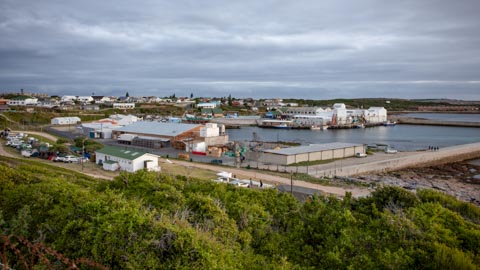 Attractions - Kleinbaai, Gansbaai